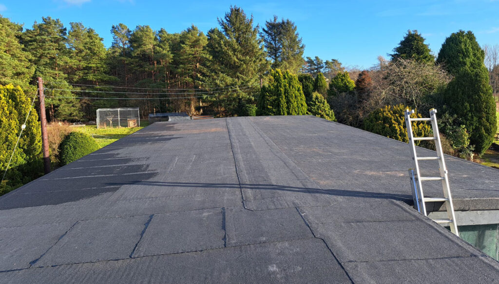 large flat roof of boarding kennels